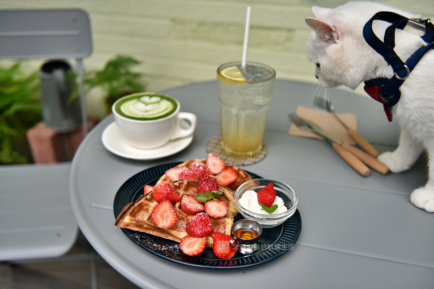 天母美食｜愜意咖啡館｜寵物友善餐廳，網美下午茶餐廳Pleasant cafe (下篇) @冰淇淋猫的軟爛生活