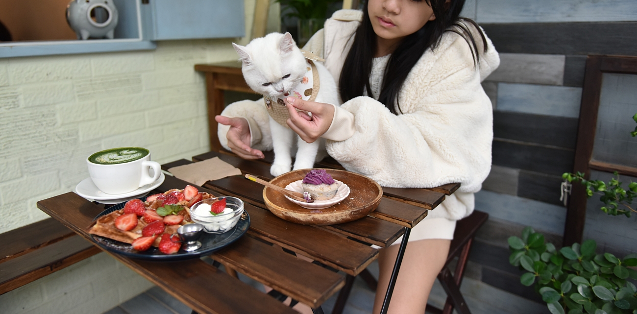 天母美食｜愜意咖啡館｜寵物友善餐廳，網美下午茶餐廳Pleasant cafe (下篇) @冰淇淋猫的軟爛生活