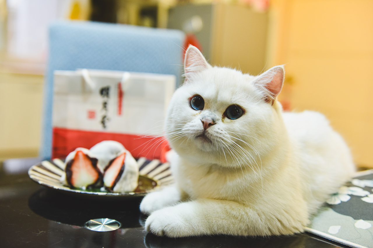 台北橋美食｜明月堂和菓子的冬季限定草莓大福，林依晨選作為女兒日式彌月禮盒 @冰淇淋猫的軟爛生活