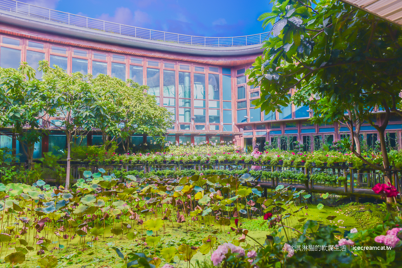 圓山美食景點｜天使生活館花博新生園區莫內花園般的咖啡廳！賞花喝茶只要150元 @冰淇淋貓的軟爛生活