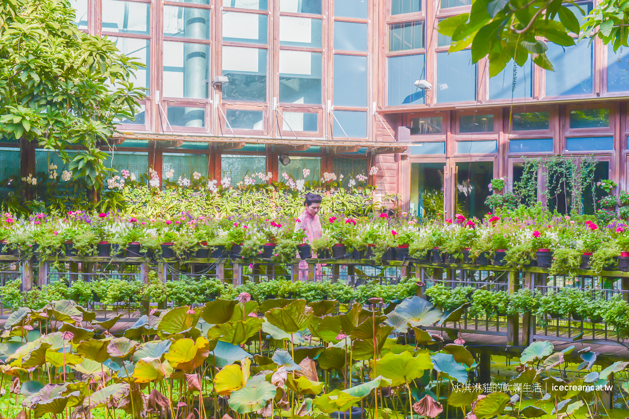 圓山美食景點｜天使生活館花博新生園區莫內花園般的咖啡廳！賞花喝茶只要150元 @冰淇淋貓的軟爛生活