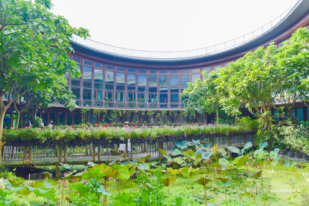 圓山美食景點｜天使生活館花博新生園區莫內花園般的咖啡廳！賞花喝茶只要150元 @冰淇淋貓的軟爛生活