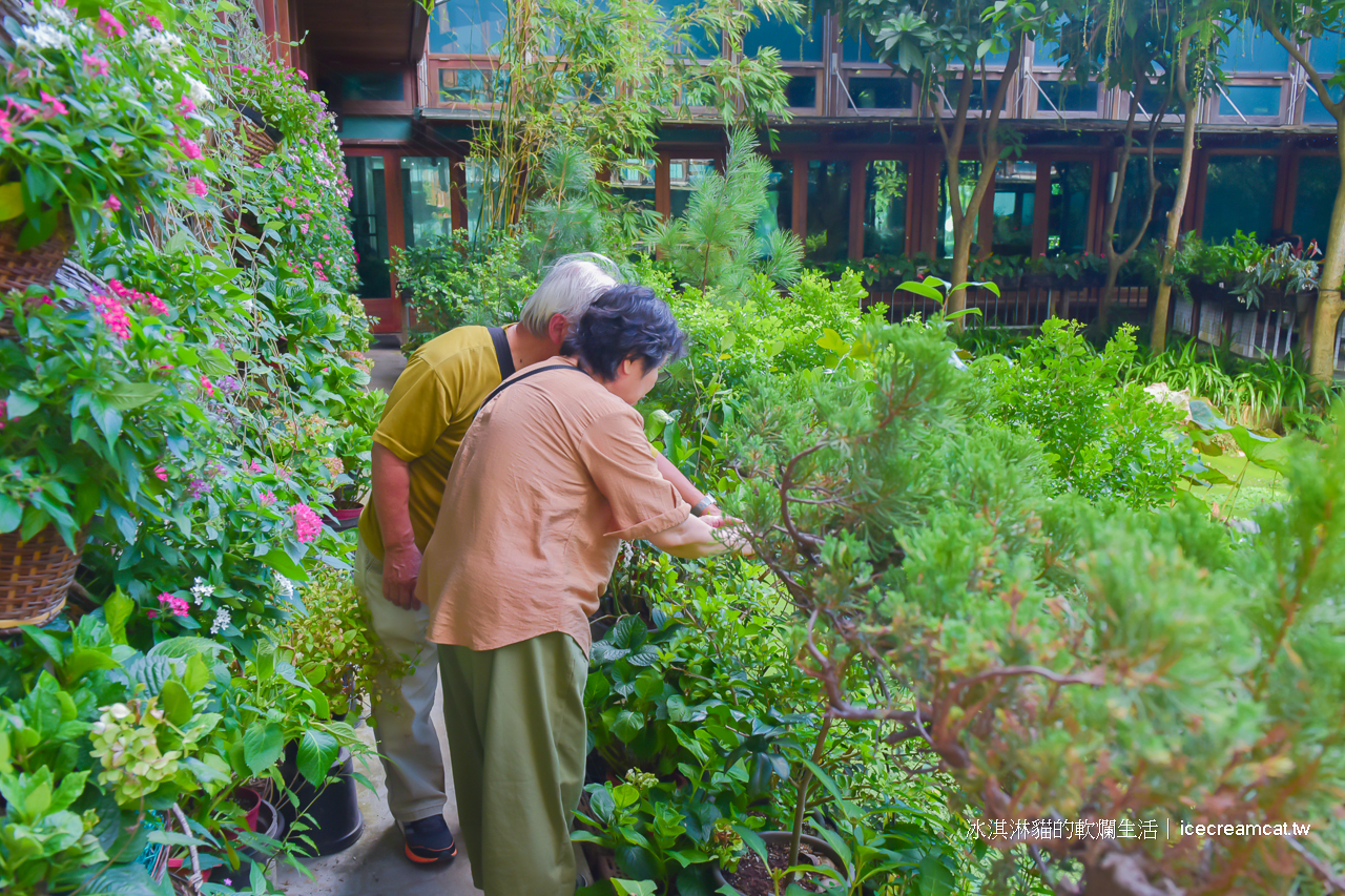 圓山美食景點｜天使生活館花博新生園區莫內花園般的咖啡廳！賞花喝茶只要150元 @冰淇淋貓的軟爛生活