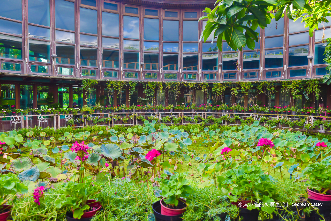 圓山美食景點｜天使生活館花博新生園區莫內花園般的咖啡廳！賞花喝茶只要150元 @冰淇淋貓的軟爛生活