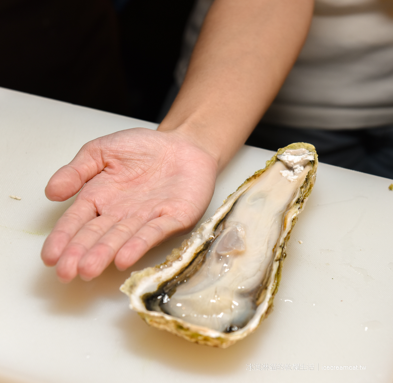 忠孝復興站 | She’ll Oyster bar 敘台北東區生蠔吧約會續攤好去處！必點日本生蠔塔與法國空運吉拉朵生蠔 @冰淇淋貓的軟爛生活