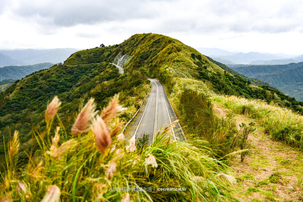 新北景點｜瑞芳半屏山步道2024芒草季，瑞芳美食與附近景點不厭亭 @冰淇淋貓的軟爛生活