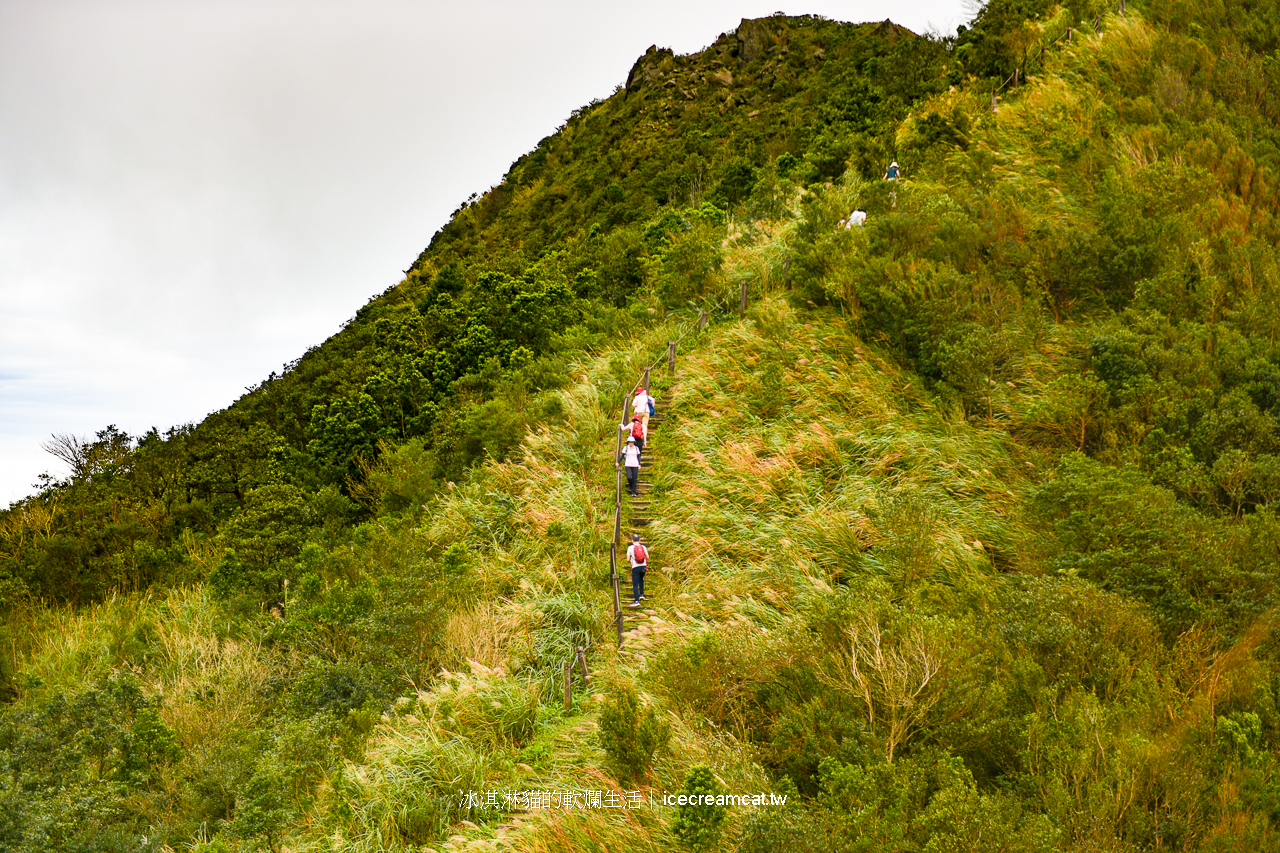 新北景點｜瑞芳半屏山步道2024芒草季，瑞芳美食與附近景點不厭亭 @冰淇淋貓的軟爛生活