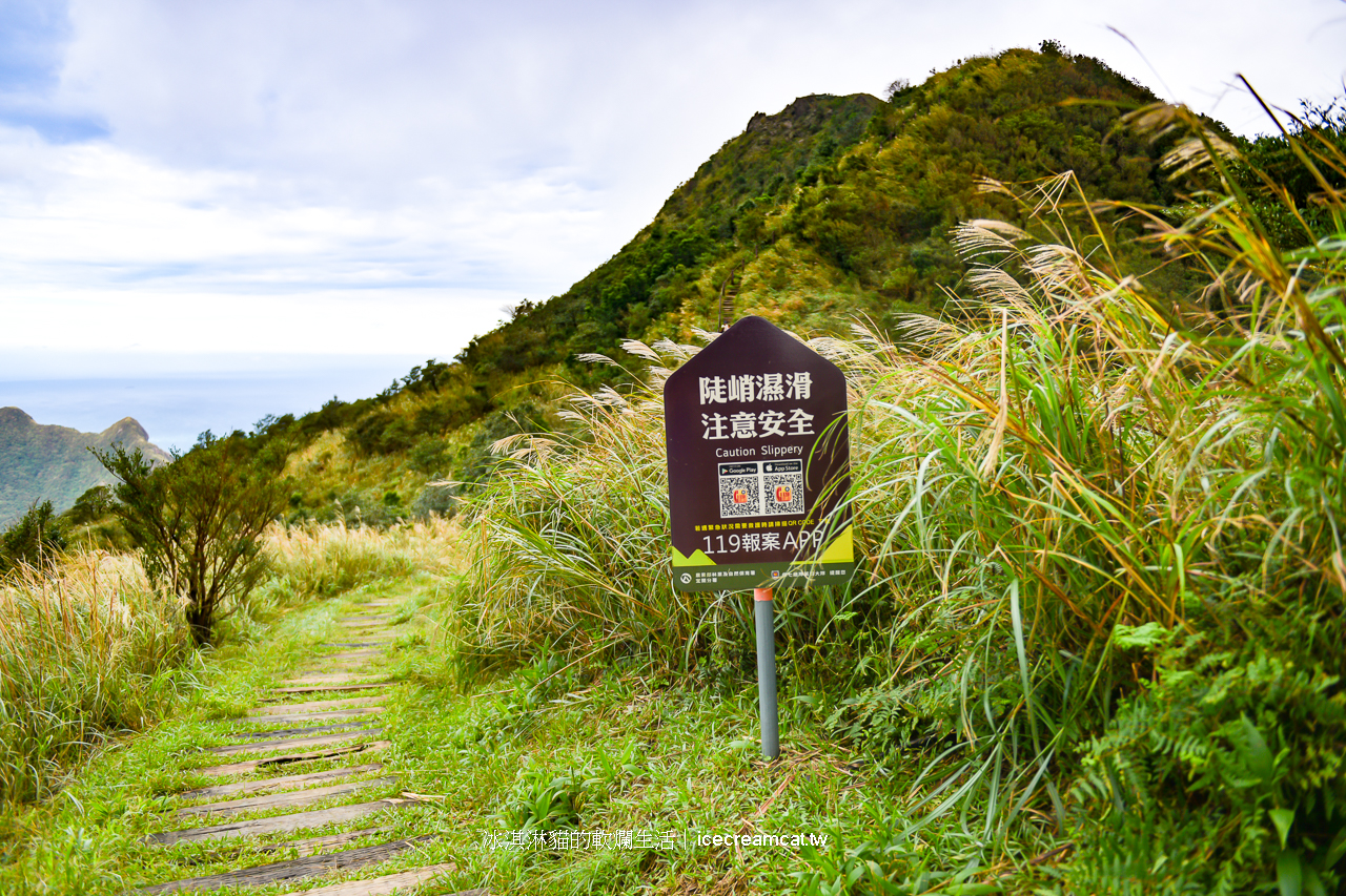 新北景點｜瑞芳半屏山步道2024芒草季，瑞芳美食與附近景點不厭亭 @冰淇淋貓的軟爛生活