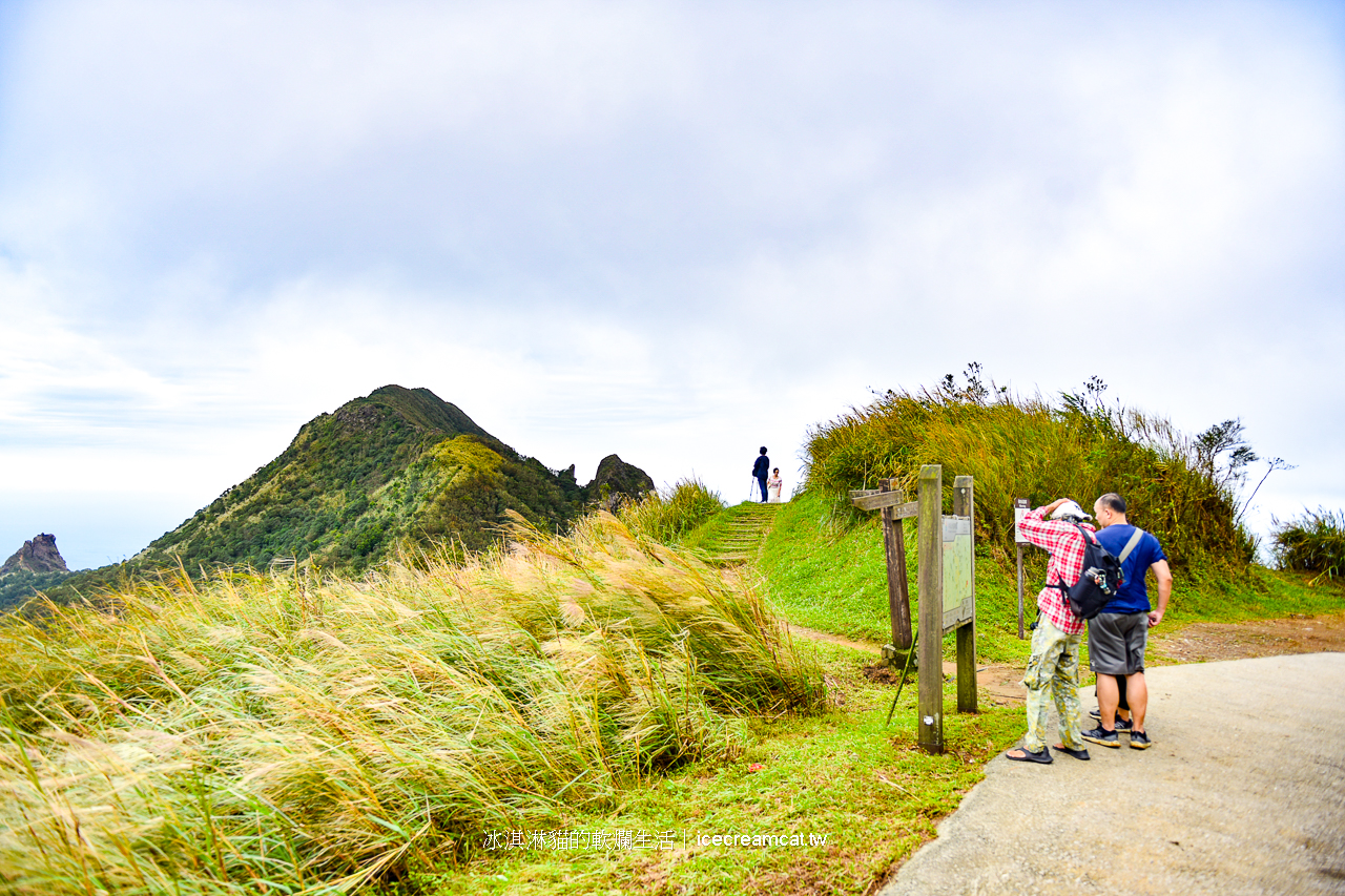 新北景點｜瑞芳半屏山步道2024芒草季，瑞芳美食與附近景點不厭亭 @冰淇淋貓的軟爛生活