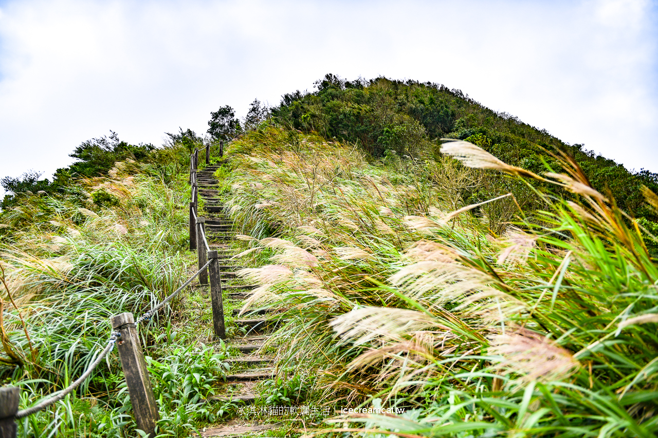 新北景點｜瑞芳半屏山步道2024芒草季，瑞芳美食與附近景點不厭亭 @冰淇淋貓的軟爛生活