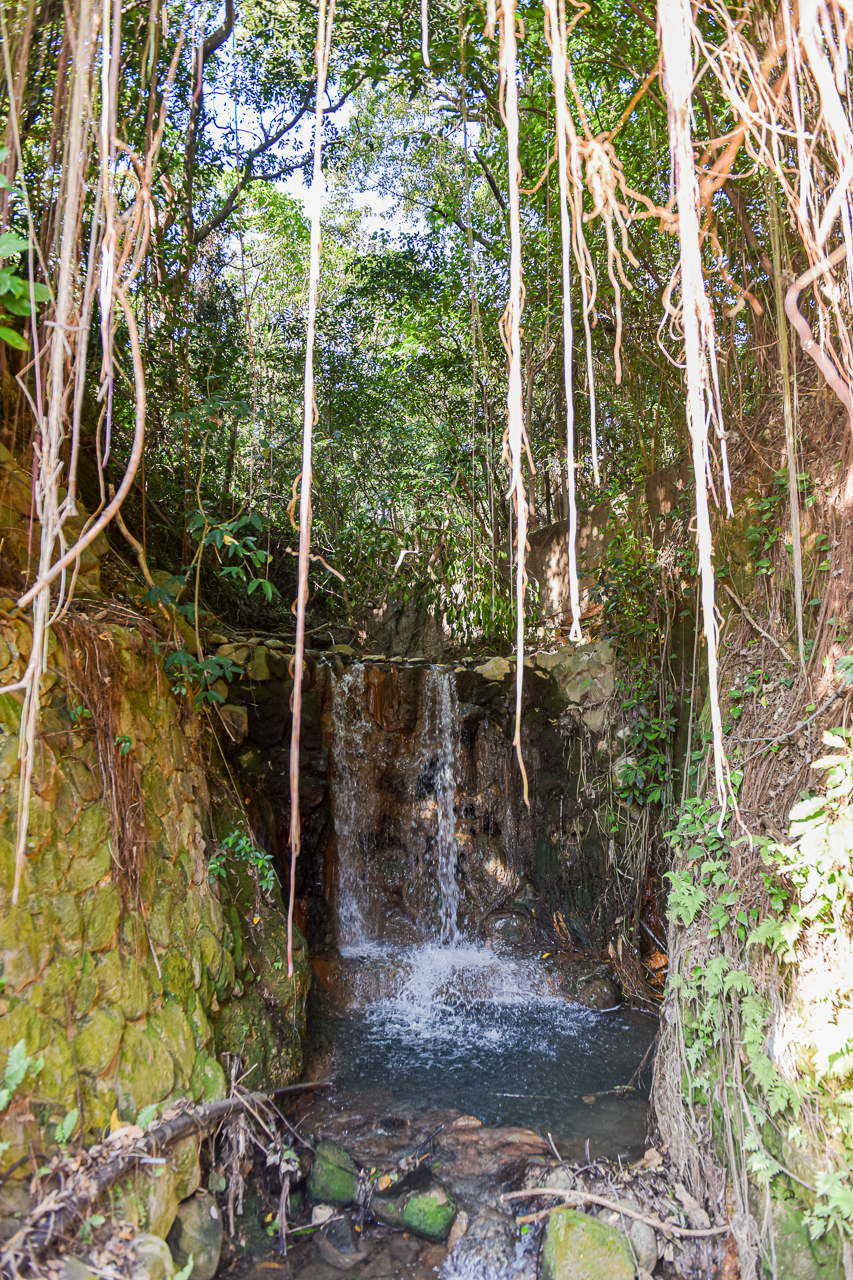 北投景點｜地熱谷公園介紹與影片，北投必吃美食與溫泉季附近景點 @冰淇淋貓的軟爛生活