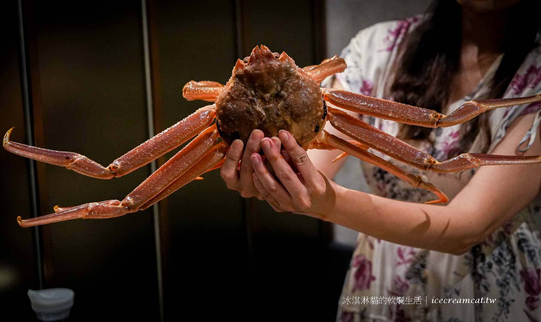 【大安火鍋】二本松涮涮屋 火鍋界的愛馬仕 北海道活體松葉蟹四吃專門店 寵物友善餐廳 @冰淇淋貓的軟爛生活