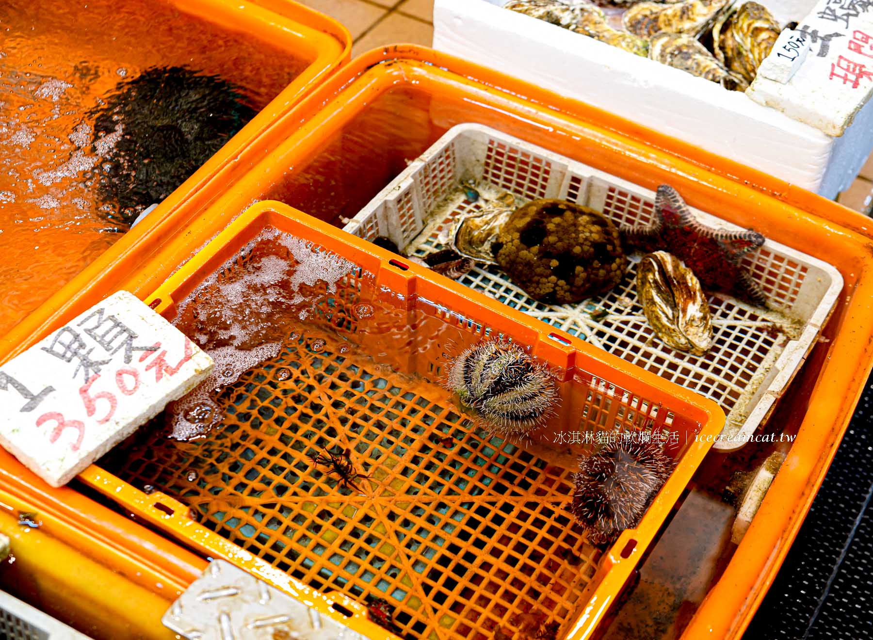 【小翔海產】21號 龜吼漁夫市集必吃推薦，現剖海膽、生蠔超鮮人氣攤位（原28號） @冰淇淋貓的軟爛生活