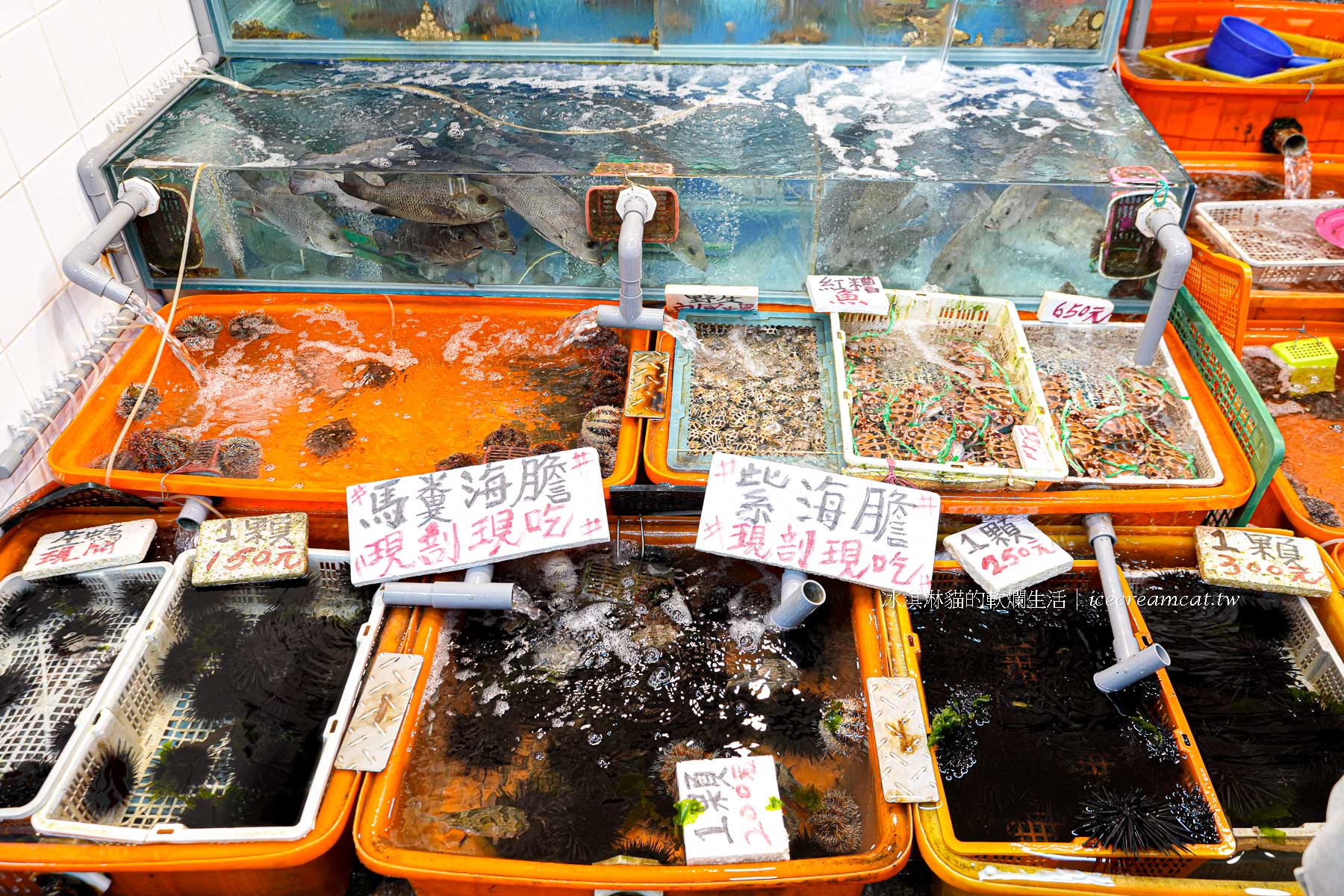 【小翔海產】21號 龜吼漁夫市集必吃推薦，現剖海膽、生蠔超鮮人氣攤位（原28號） @冰淇淋貓的軟爛生活