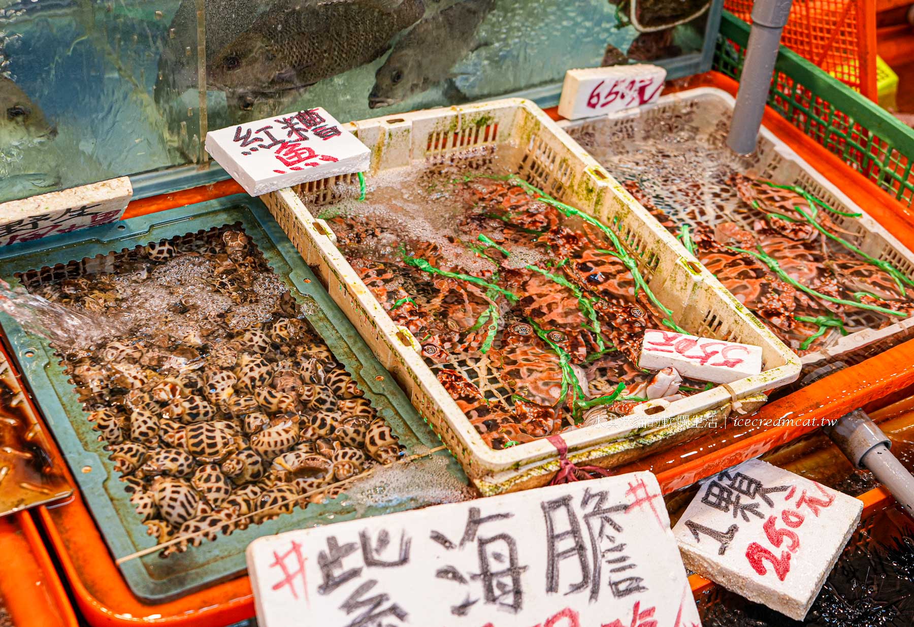 【小翔海產】21號 龜吼漁夫市集必吃推薦，現剖海膽、生蠔超鮮人氣攤位（原28號） @冰淇淋貓的軟爛生活