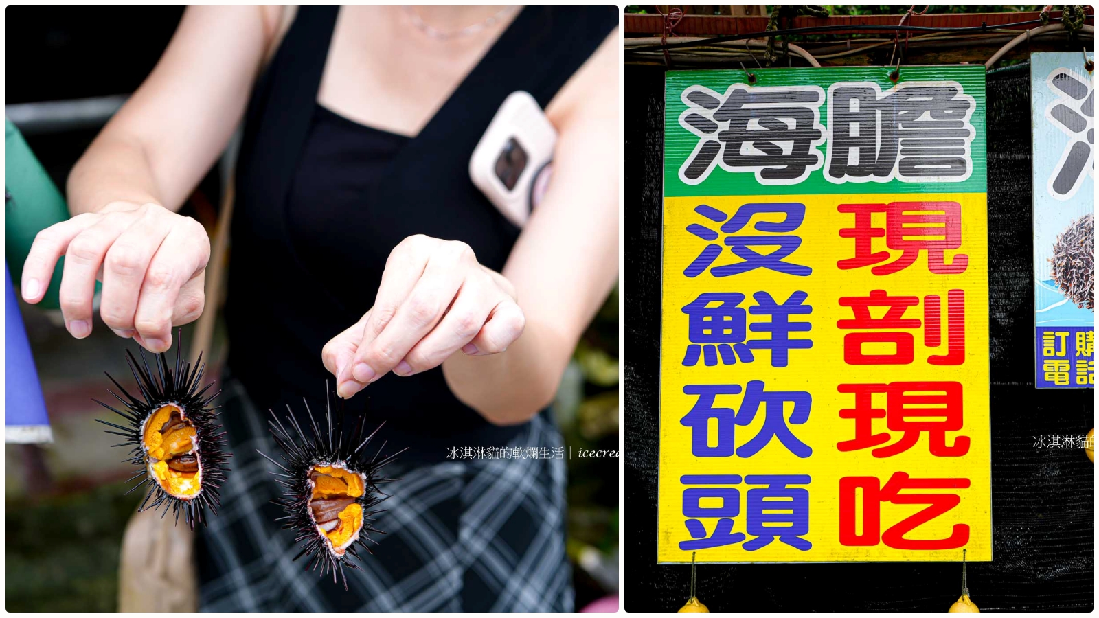 【萬里美食】馬糞海膽現剖推薦，龜吼漁港野生海膽必吃，地址在漁澳路85號2 @冰淇淋貓的軟爛生活