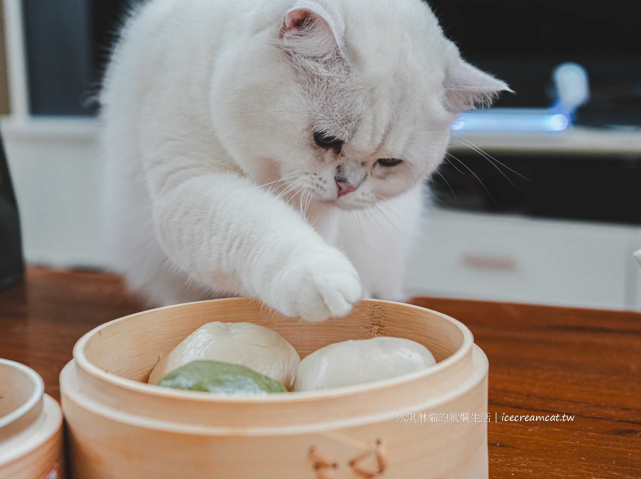北埔鄒記菜包｜米其林必比登推薦！北埔老街必吃美食，菜單價格與人氣口味 @冰淇淋貓的軟爛生活