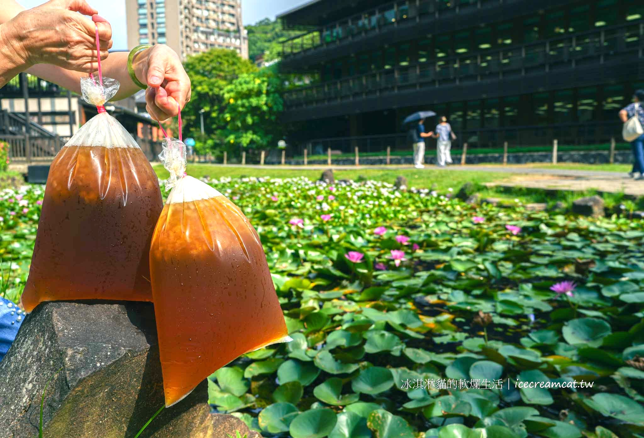 北投飲料｜高記茶莊2025菜單必點袋裝無憂茶、古早味紅茶，喝一口回到童年 @冰淇淋貓的軟爛生活
