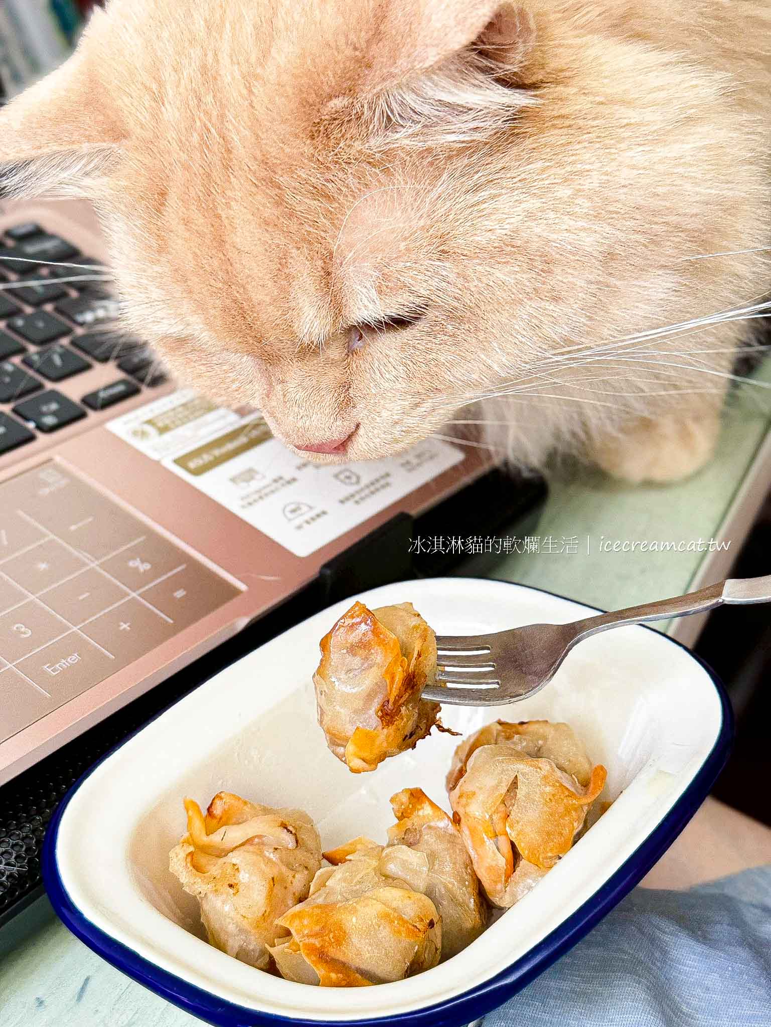 【鹿港美食】圓環頂麵食館在鹿港天后宮附近美食推薦，在地人大推的銅板小吃 @冰淇淋貓的軟爛生活