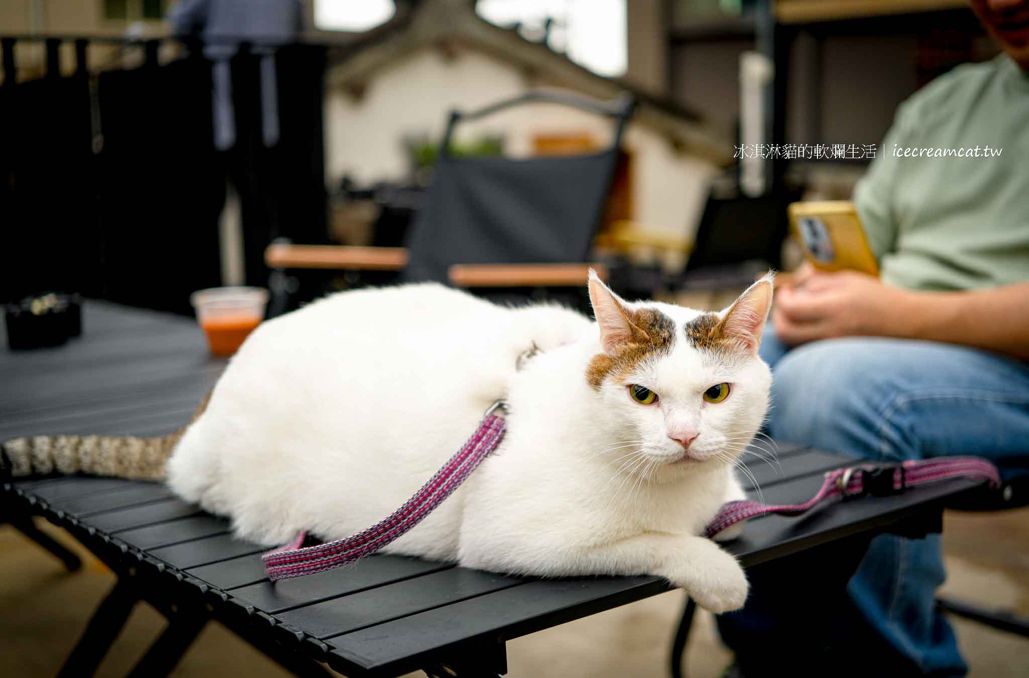 【桃園美食】Focus on Flavor 2 巨大黑手咖啡廳在中壢中原夜市旁，必點美式咖啡55元 @冰淇淋貓的軟爛生活