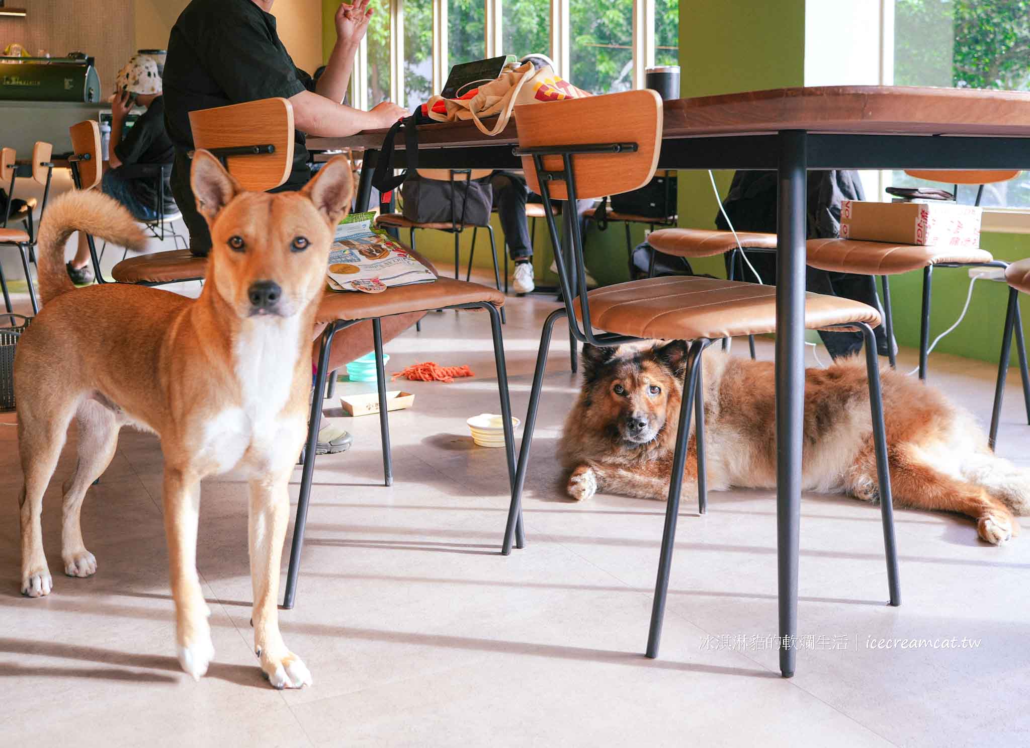 天母【MUSAND COFFEE GRANARY 漠杉咖啡】捷運芝山站不限時咖啡廳｜適合讀書與工作、寵物友善、有 Wi-Fi、有插座 @冰淇淋貓的軟爛生活