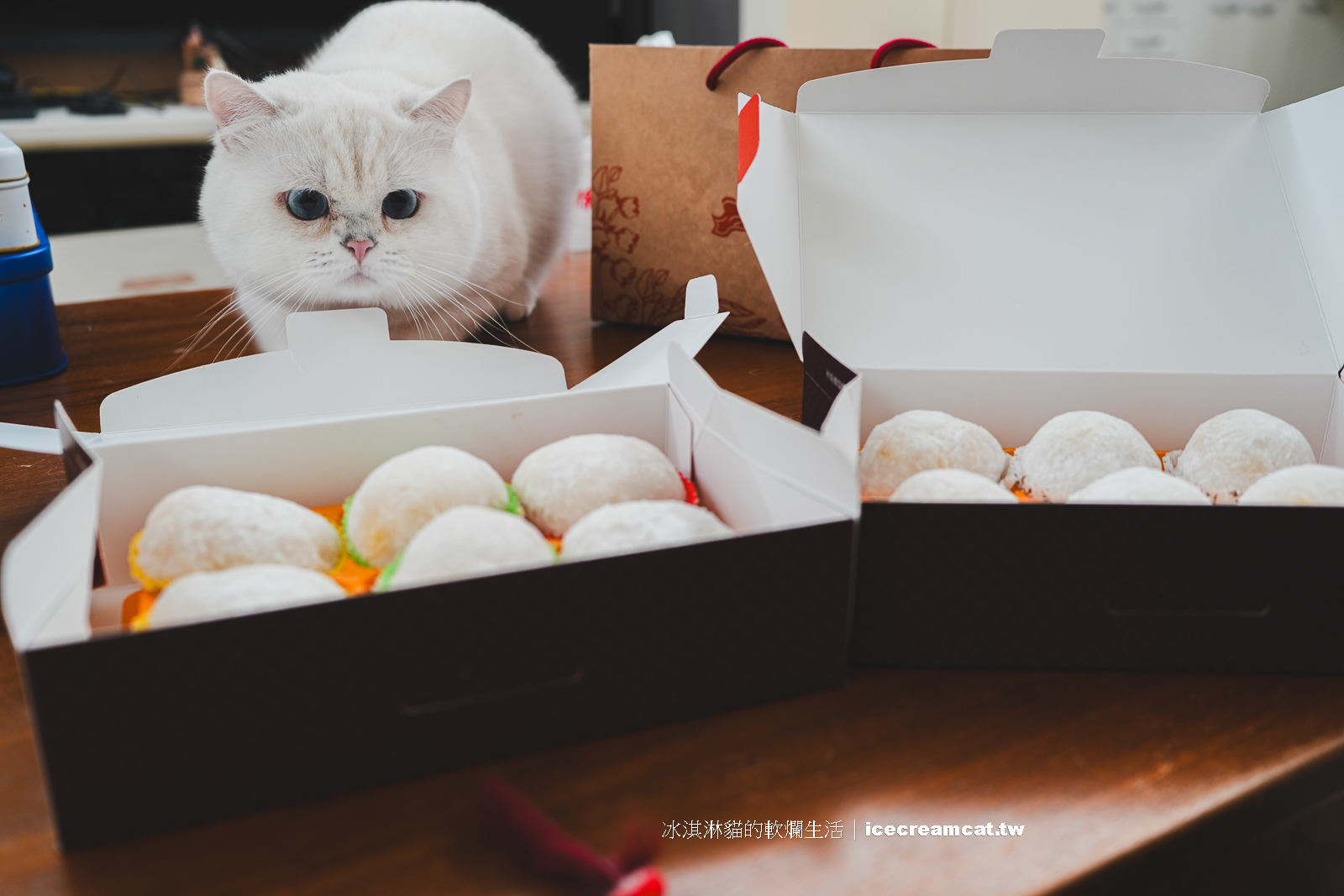 大橋頭美食｜咖芳工作室水果及草莓大福和雪球都是熱門必買，台北伴手禮推薦 @冰淇淋貓的軟爛生活