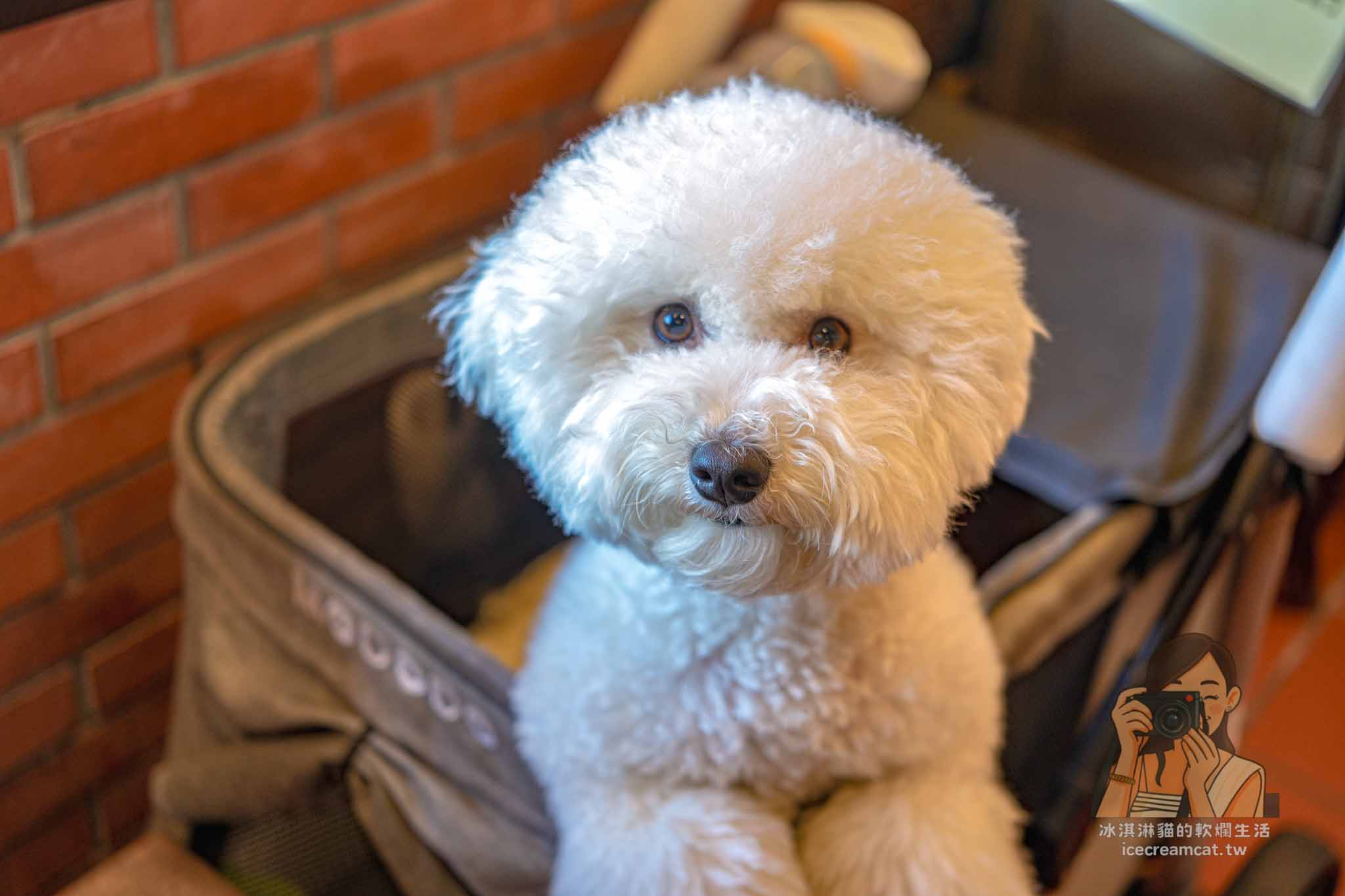 桃園【老地方客家菜】大溪客家餐廳推薦,建議提前訂位!連平日都要客滿 @冰淇淋貓的軟爛生活 桃園【老地方客家菜】大溪客家餐廳推薦,建議提前訂位!連平日都要客滿 @冰淇淋貓的軟爛生活