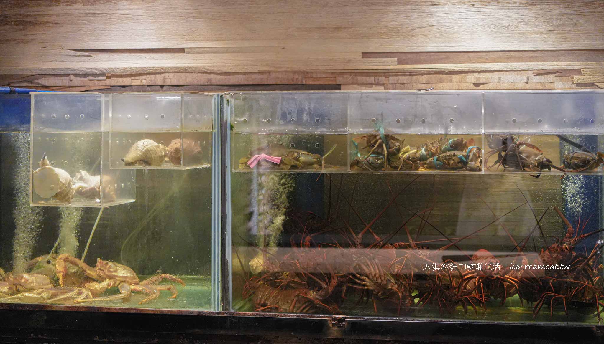 台北松山【真真庵割烹壽司】日料愛好者必訪!板前料理、預約、價位 @冰淇淋貓的軟爛生活 台北松山【真真庵割烹壽司】日料愛好者必訪!板前料理、預約、價位 @冰淇淋貓的軟爛生活