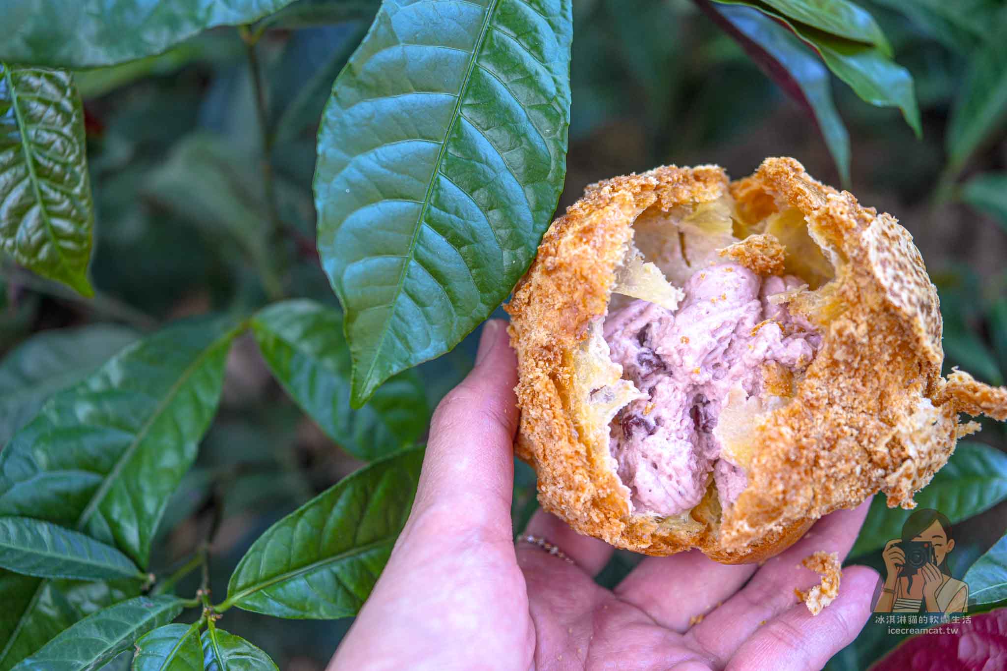 台北《川雨》麵包店預訂|科技大樓站附近,鹽可頌與脆皮泡芙超人氣必買 @冰淇淋貓的軟爛生活 台北《川雨》麵包店預訂|科技大樓站附近,鹽可頌與脆皮泡芙超人氣必買 @冰淇淋貓的軟爛生活