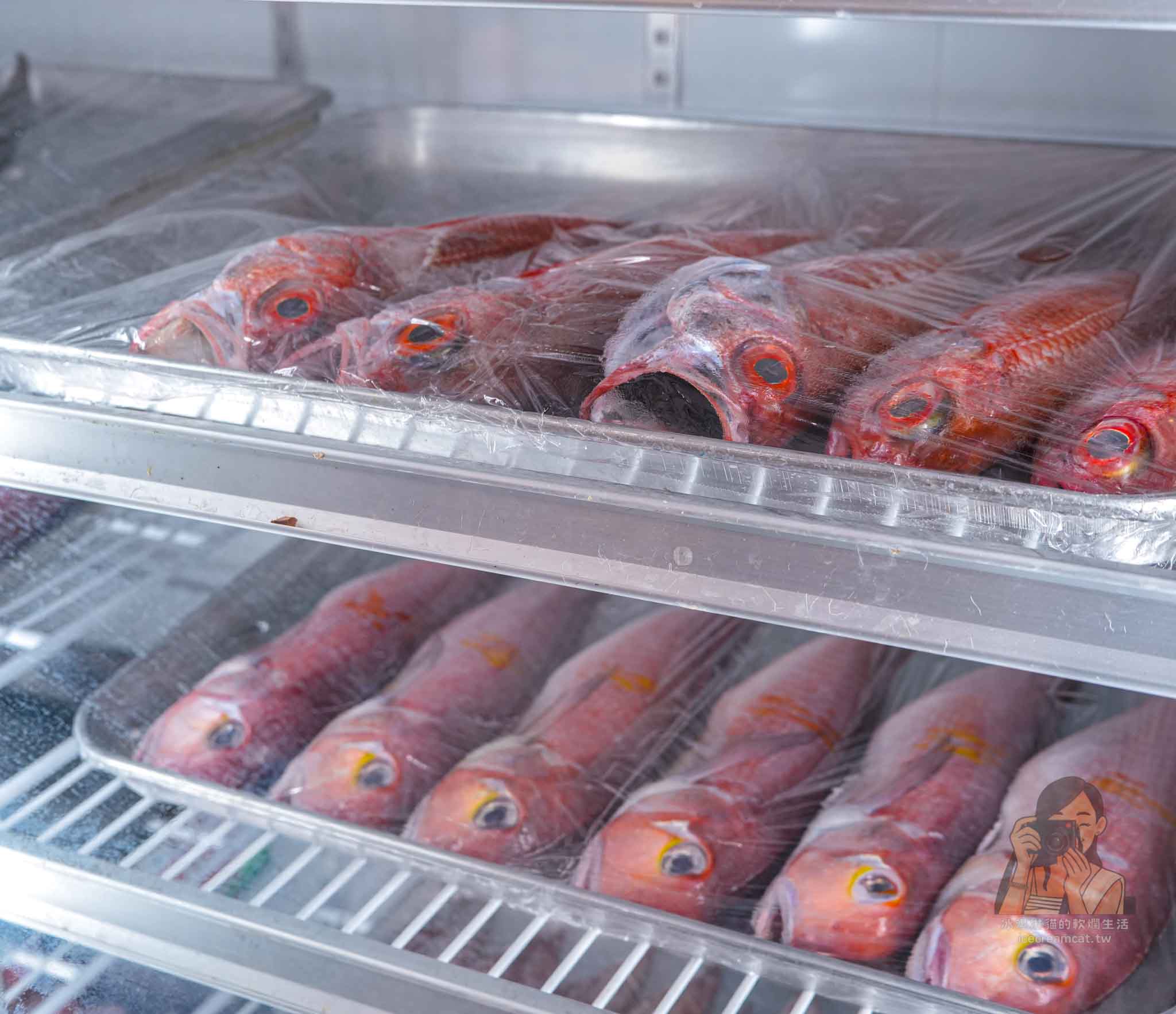 【宜蘭壯圍美食】阿國海鮮｜現撈海鮮無菜單點法、食尚玩家推薦、附停車場 @冰淇淋貓的軟爛生活