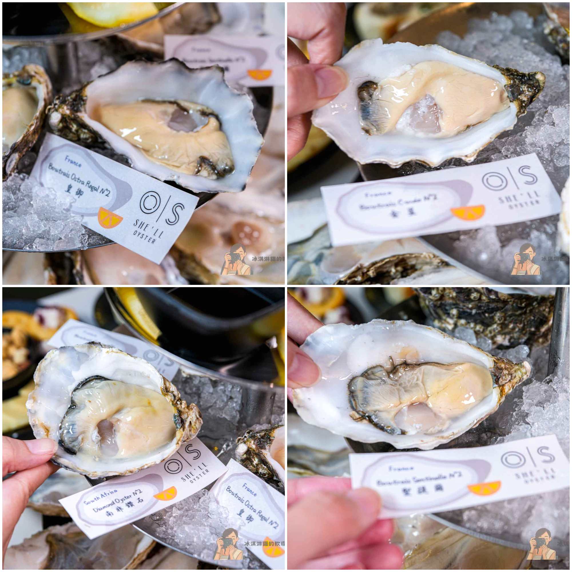 忠孝復興站 | She’ll Oyster bar |敘|台北東區生蠔吧宵夜約會續攤好去處!必點日本生蠔塔與法國空運吉拉朵生蠔 @冰淇淋貓的軟爛生活 忠孝復興站 | She’ll Oyster bar |敘|台北東區生蠔吧宵夜約會續攤好去處!必點日本生蠔塔與法國空運吉拉朵生蠔 @冰淇淋貓的軟爛生活