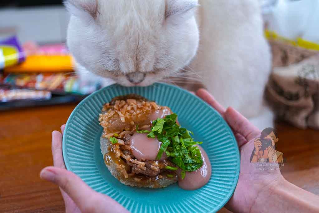 【安東街彰化肉圓】台北大安排隊肉圓，生肉圓買十送一、忠孝復興站美食推薦 @冰淇淋貓的軟爛生活