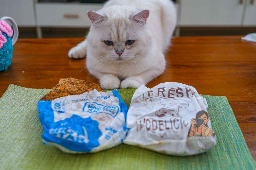 【士林夜市美食】豪大大雞排 士林夜市宵夜比臉大雞排始祖，台北雞排必吃 @冰淇淋貓的軟爛生活