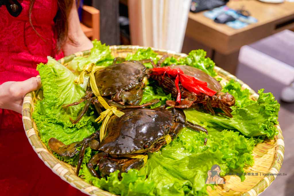 台北101世貿站美食｜君曜雞湯 台北信義區雞湯火鍋推薦 必點雞湯界LV全雞金湯 @冰淇淋貓的軟爛生活