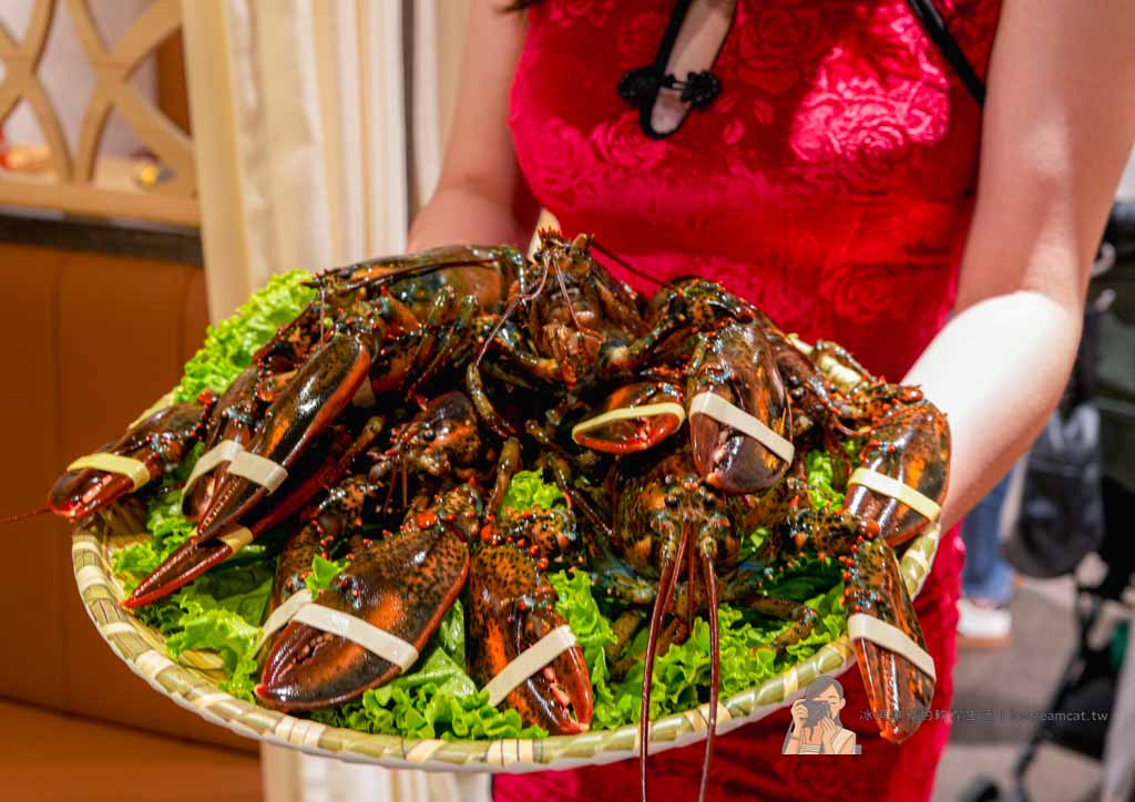 台北101世貿站美食｜君曜雞湯 台北信義區雞湯火鍋推薦 必點雞湯界LV全雞金湯 @冰淇淋貓的軟爛生活