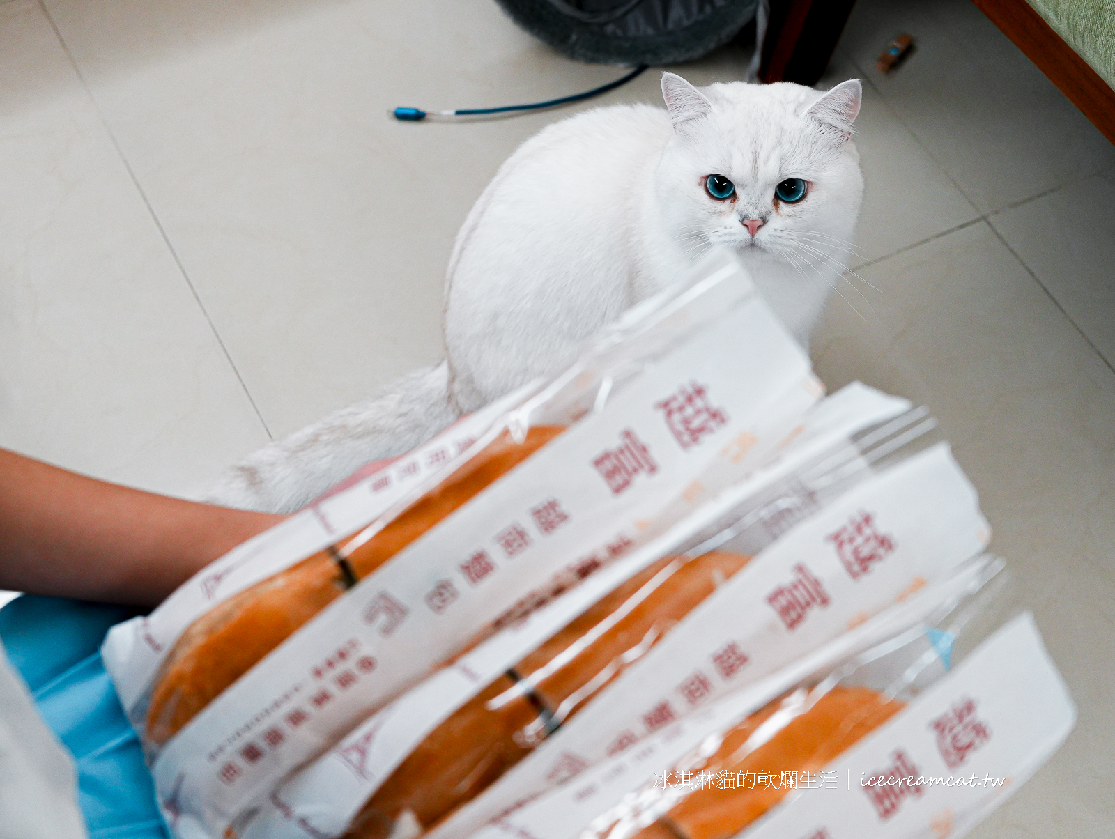台北士林美食｜越富越南法國麵包菜單必點脆皮豬法國麵包 @冰淇淋貓的軟爛生活