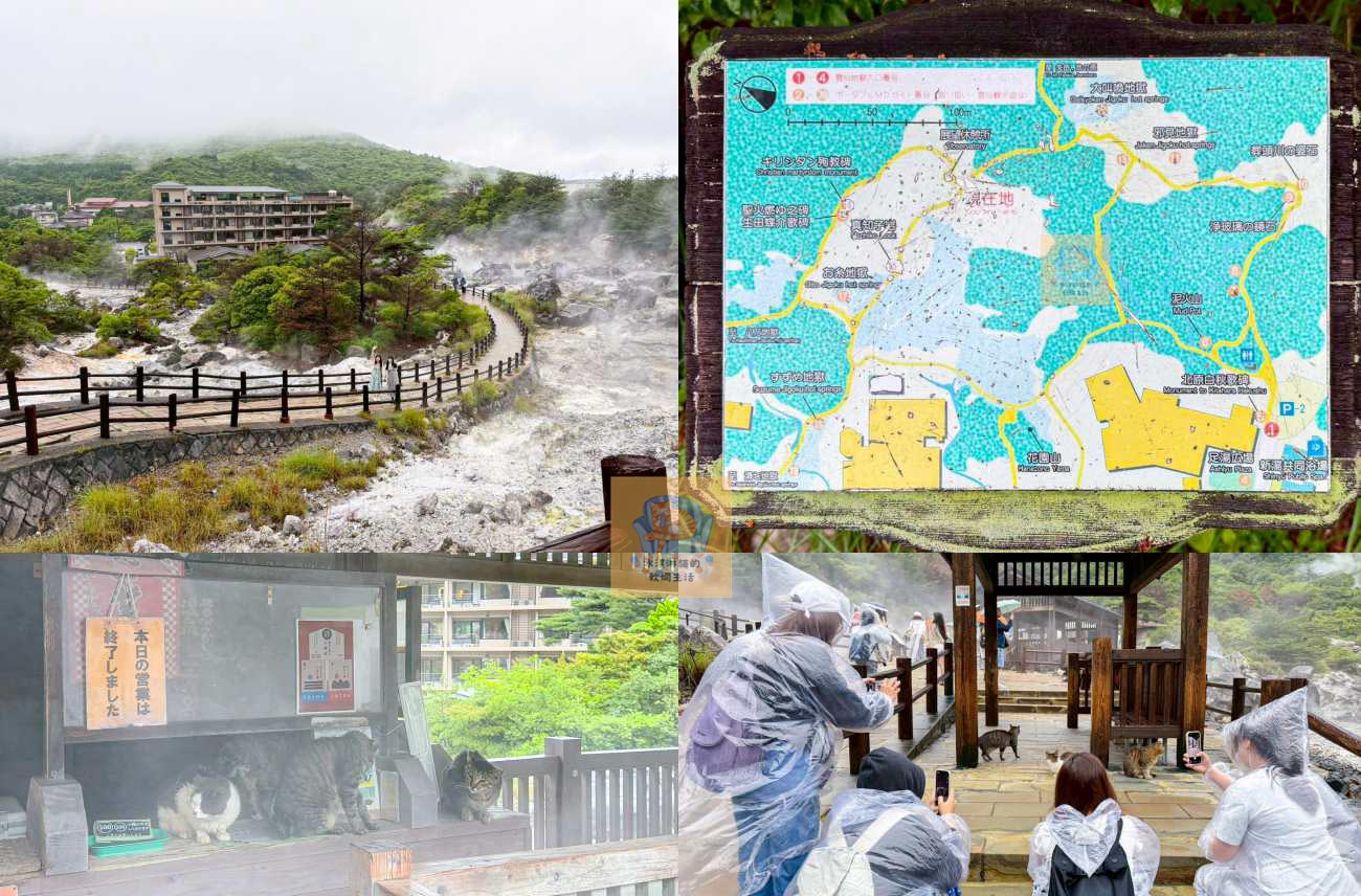 【長崎一日遊】麗星郵輪探索星號岸上觀光,雲仙地獄貓咪、小濱溫泉足湯、海鮮地獄蒸、長崎蛋糕樂園(和泉屋) @冰淇淋貓的軟爛生活 【長崎一日遊】麗星郵輪探索星號岸上觀光,雲仙地獄貓咪、小濱溫泉足湯、海鮮地獄蒸、長崎蛋糕樂園(和泉屋) @冰淇淋貓的軟爛生活