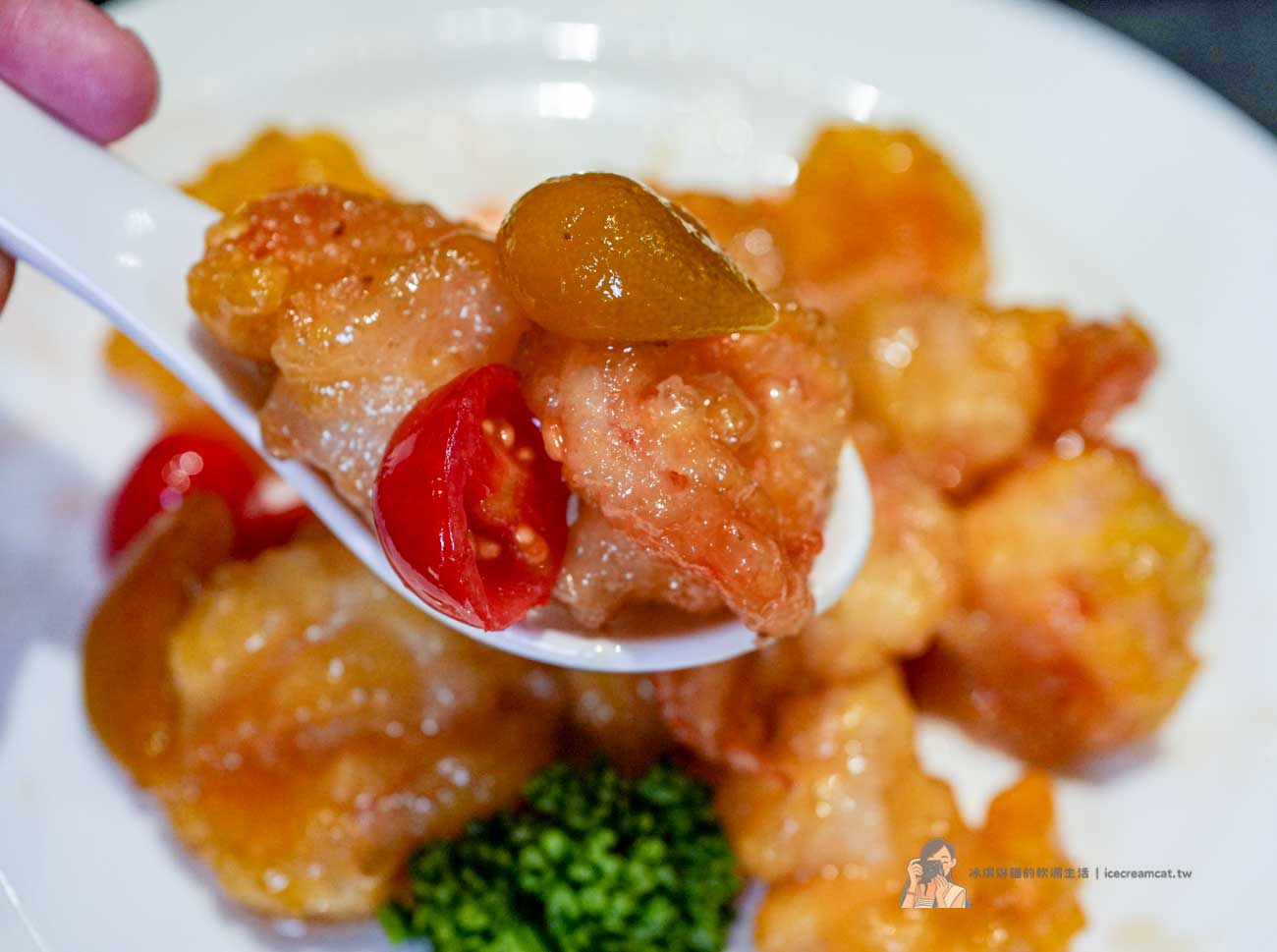 【信義區美食】白玉樓米其林必比登高雄名店插旗台北,一人也能吃台菜餐廳 @冰淇淋貓的軟爛生活 【信義區美食】白玉樓米其林必比登高雄名店插旗台北,一人也能吃台菜餐廳 @冰淇淋貓的軟爛生活