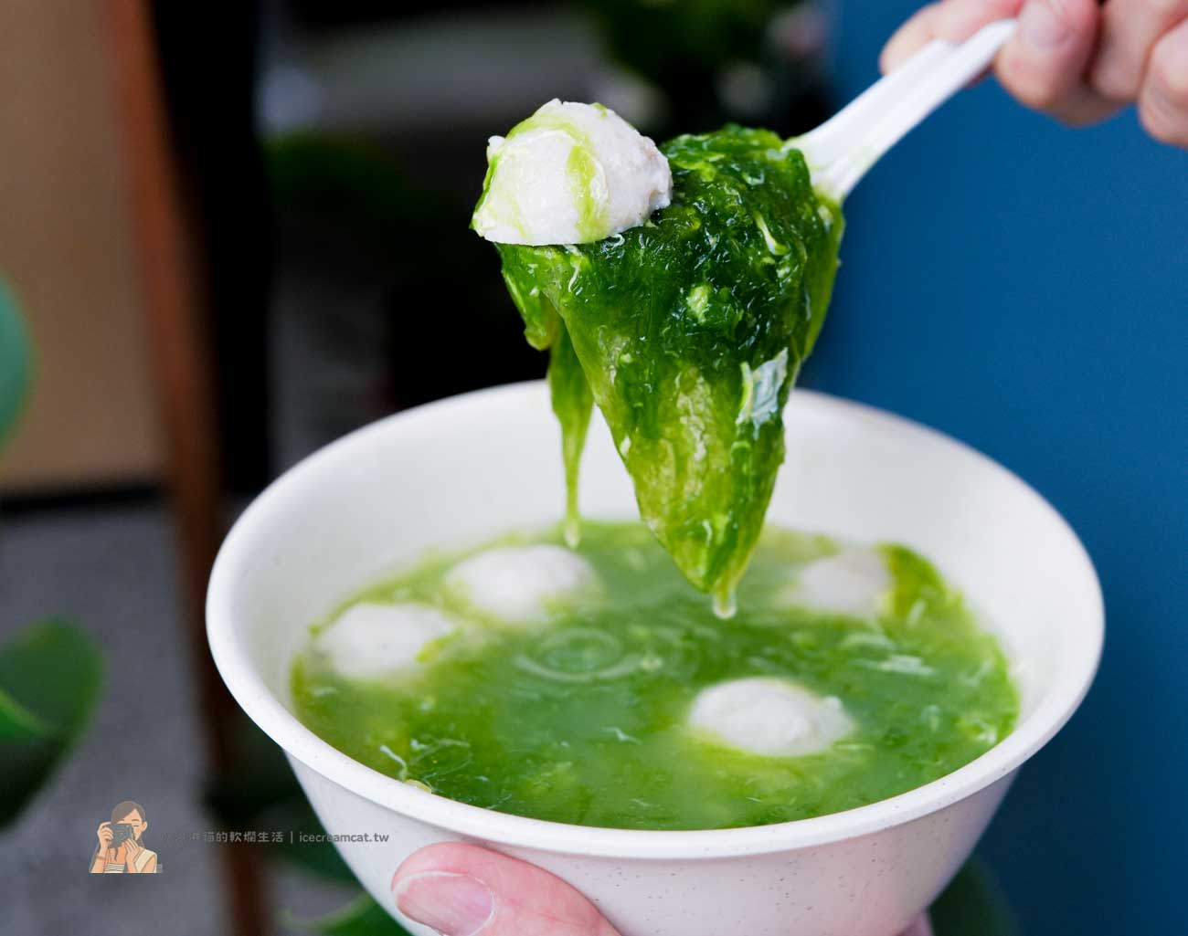 【宜蘭美食】口福小籠湯包必吃澎湖海菜小籠包,日料主廚研發的宜蘭小籠包 @冰淇淋貓的軟爛生活 【宜蘭美食】口福小籠湯包必吃澎湖海菜小籠包,日料主廚研發的宜蘭小籠包 @冰淇淋貓的軟爛生活