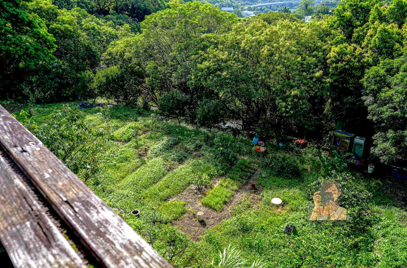 八里開心果園餐廳【八里美食】觀音山農家料理菜單必點苦茶油雞、米其林指南推薦 @冰淇淋貓的軟爛生活 八里開心果園餐廳【八里美食】觀音山農家料理菜單必點苦茶油雞、米其林指南推薦 @冰淇淋貓的軟爛生活
