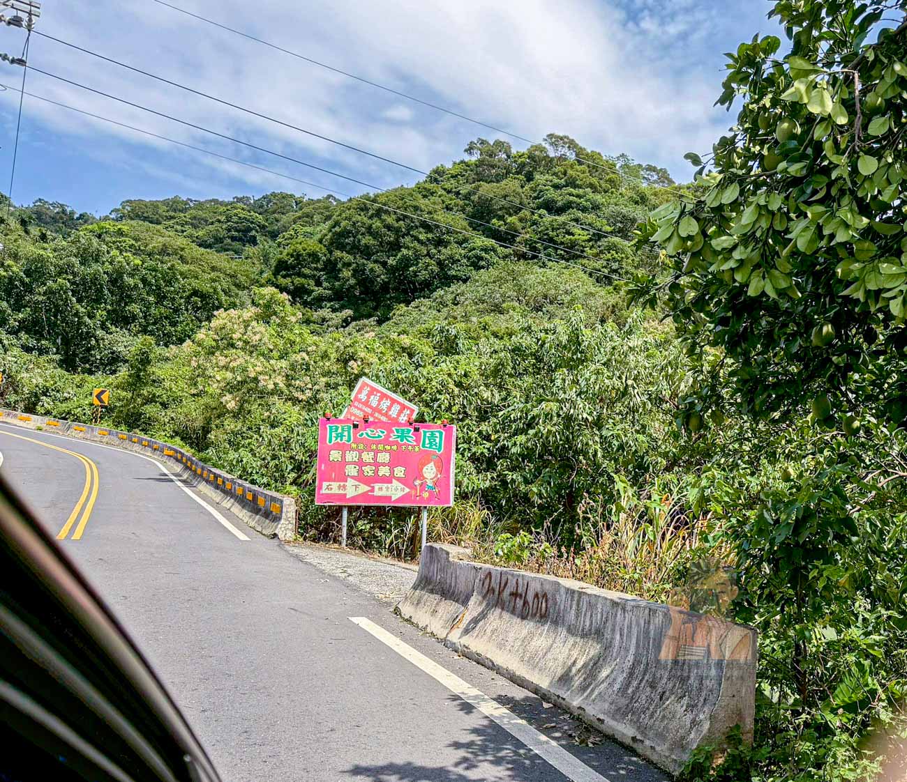 八里開心果園餐廳【八里美食】觀音山農家料理菜單必點苦茶油雞、米其林指南推薦 @冰淇淋貓的軟爛生活 八里開心果園餐廳【八里美食】觀音山農家料理菜單必點苦茶油雞、米其林指南推薦 @冰淇淋貓的軟爛生活