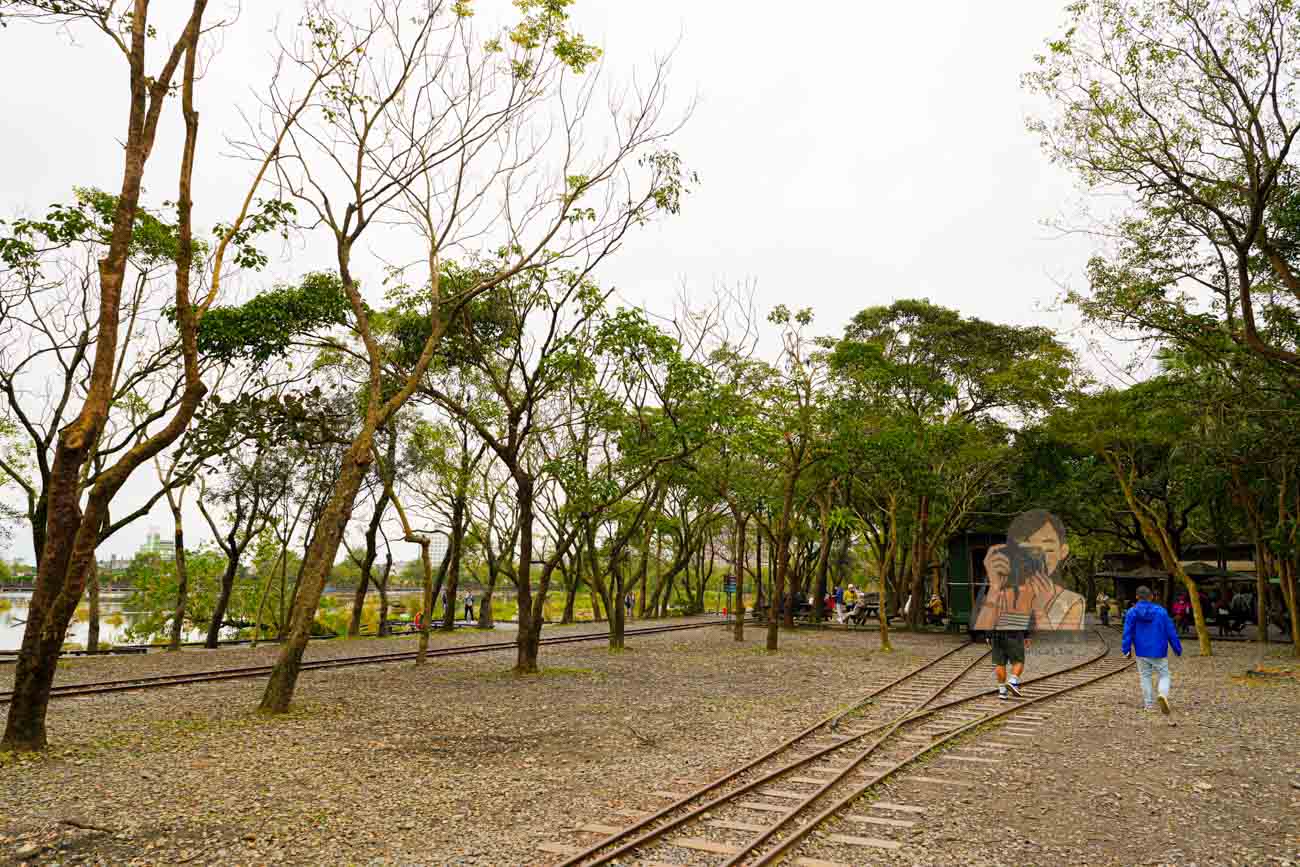 宜蘭羅東免費景點，羅東林業文化園區老火車與百年林場風景 @冰淇淋貓的軟爛生活