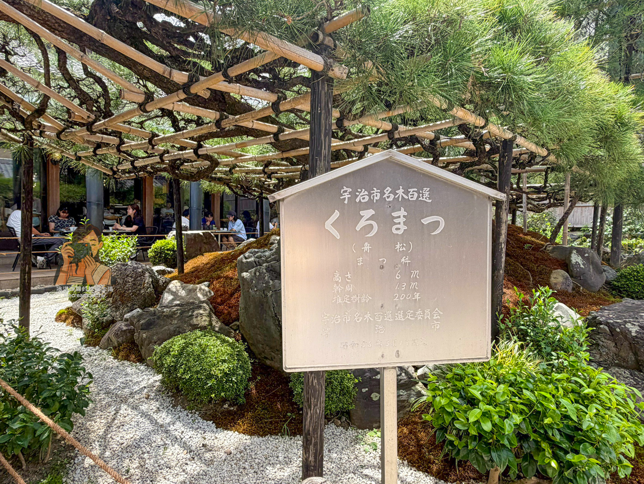 【京都宇治】中村藤吉本店、平等院店怎麼選?必吃抹茶甜點、菜單價格與交通 @冰淇淋貓的軟爛生活 【京都宇治】中村藤吉本店、平等院店怎麼選?必吃抹茶甜點、菜單價格與交通 @冰淇淋貓的軟爛生活